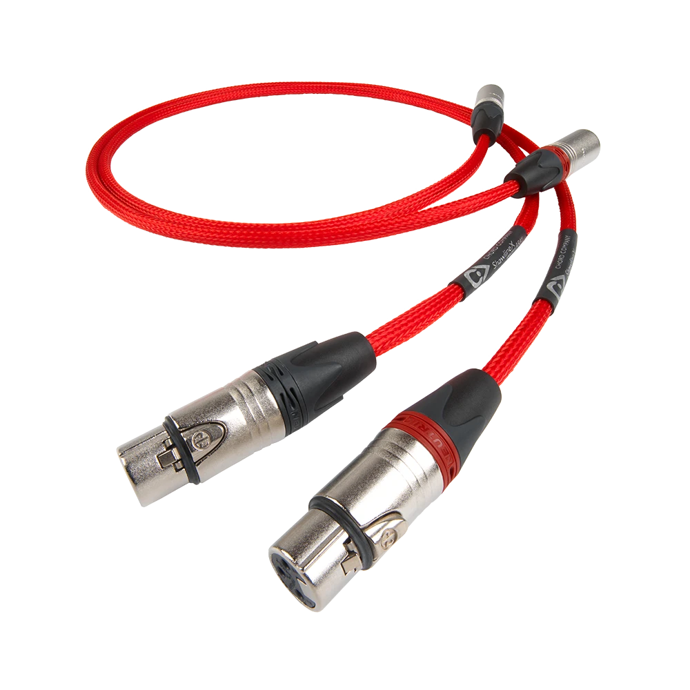 Chord ShawlineX Array XLR at Toma Audio