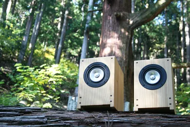 Sparkler Audio model S301B "diva" 10cm Full-Range Loudspeaker System, side detail at Toma Audio