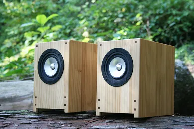 Sparkler Audio model S301B "diva" 10cm Full-Range Loudspeaker System, rear detail at Toma Audio