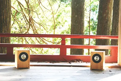 Sparkler Audio model S301B "diva" 10cm Full-Range Loudspeaker System, angled view at Toma Audio